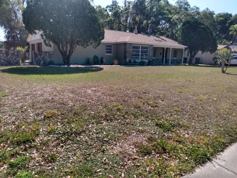 Affordable residential landscaping for outdoor upgrades in Eatonville, FL by A & T Lawn Care Services of Central Florida