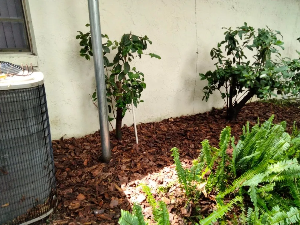 Custom landscape design for year-round maintenance across Eatonville, FL - A & T Lawn Care Services of Central Florida