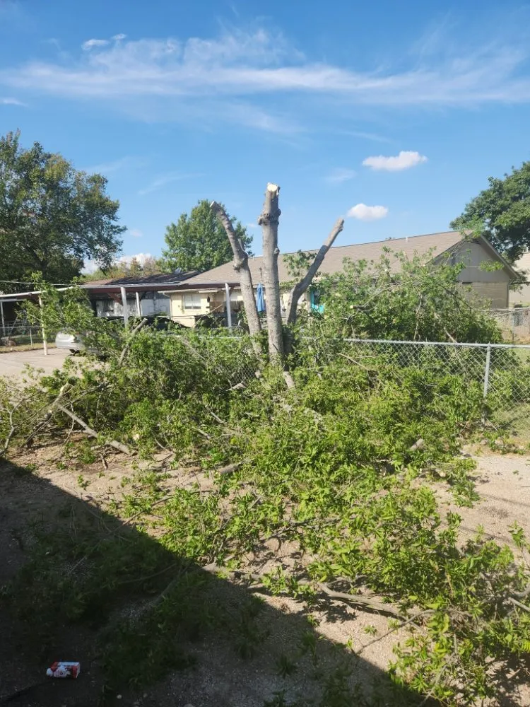 Top-rated yard maintenance in Bedford, TX by A & T Property Maintenance