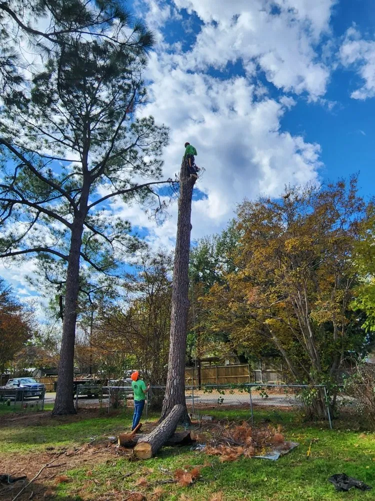 Expert yard maintenance in Bedford, TX - A & T Property Maintenance