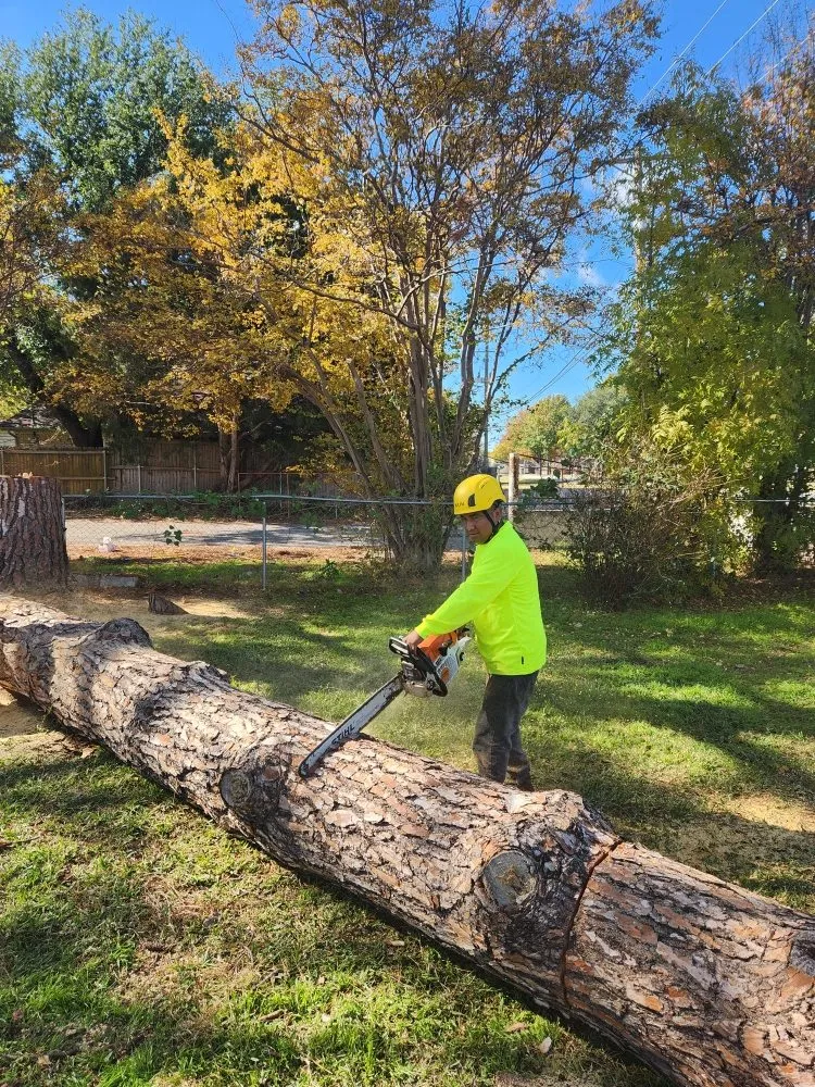 Professional landscape design for beautiful yards across Bedford, TX - A & T Property Maintenance