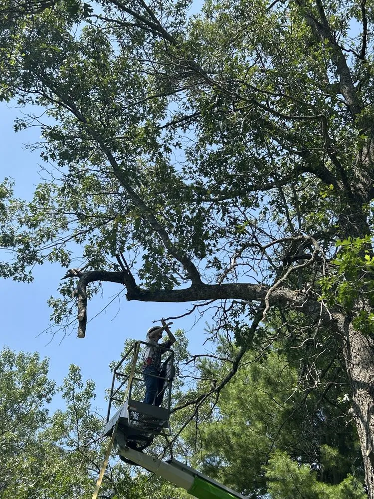 Trusted yard cleanup service in Indian River, MI by A & T Services