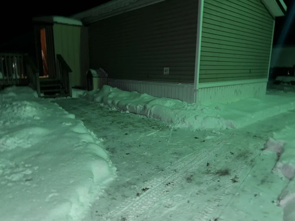 Expert yard cleanup service in Indian River, MI - A & T Services