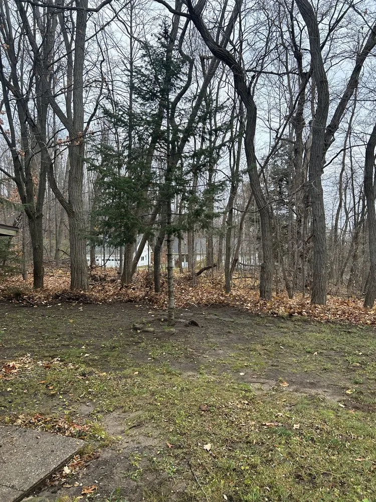 Professional outdoor landscaping for year-round maintenance in Indian River, MI by A & T Services