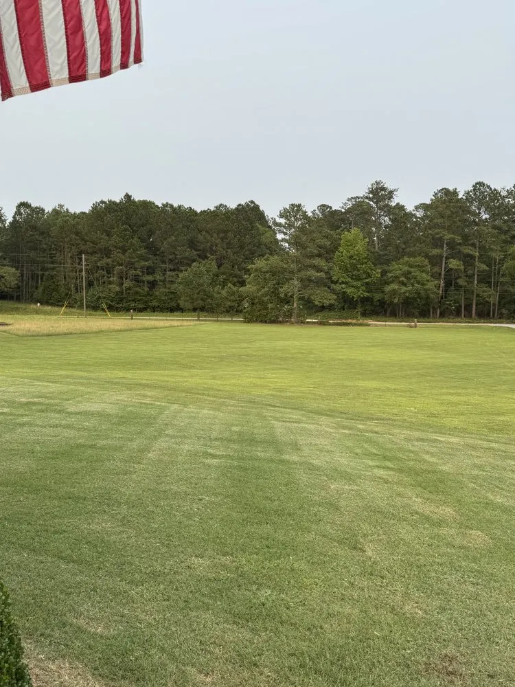 Top-rated yard cleanup service for residential properties across Milner, GA - A & W Southside Services