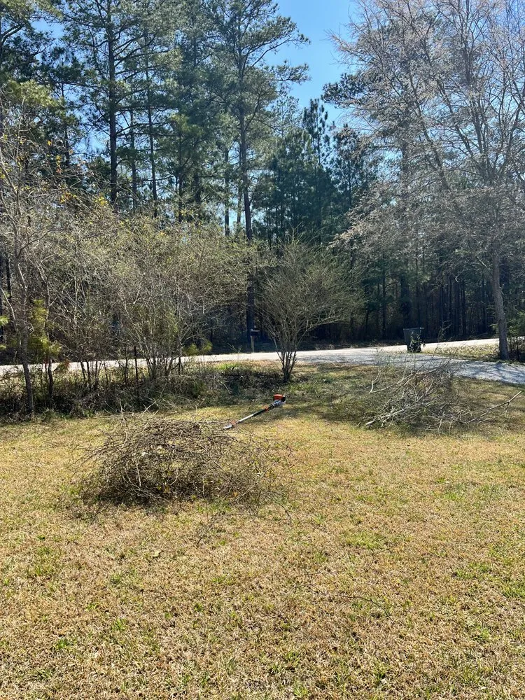 Top-rated landscaping services in Milner, GA by A & W Southside Services