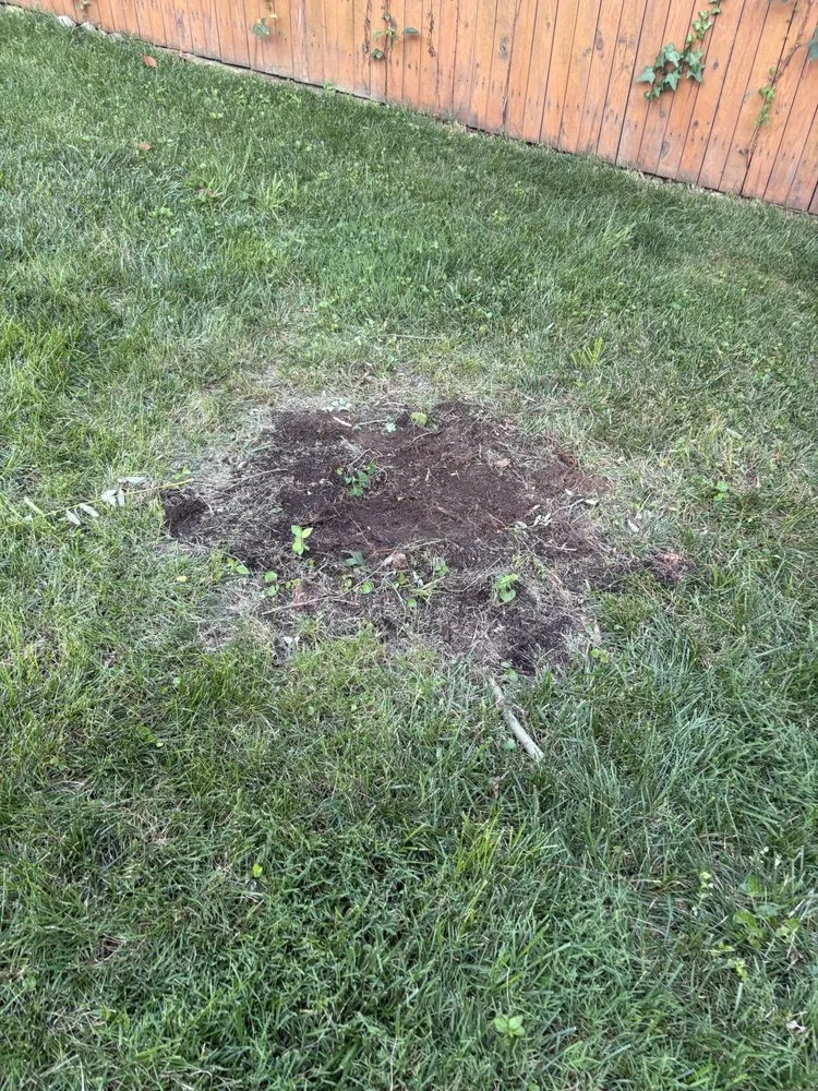 Local landscape installation in Fort Washington, MD by A & X Hydro