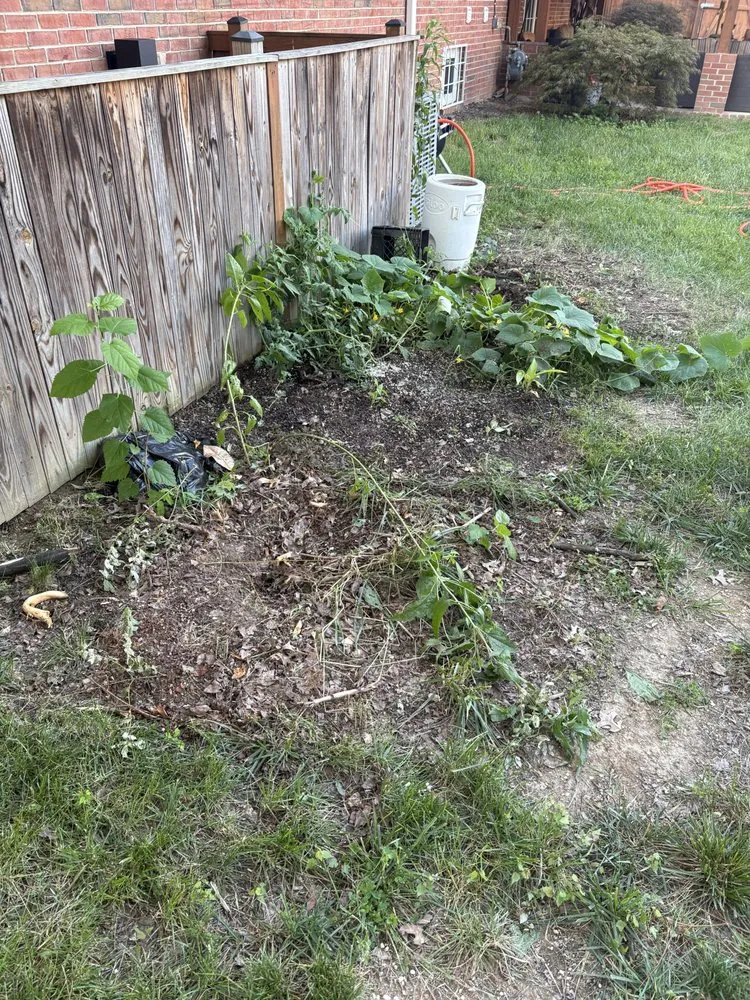 Trusted residential landscaping in Fort Washington, MD - A & X Hydro