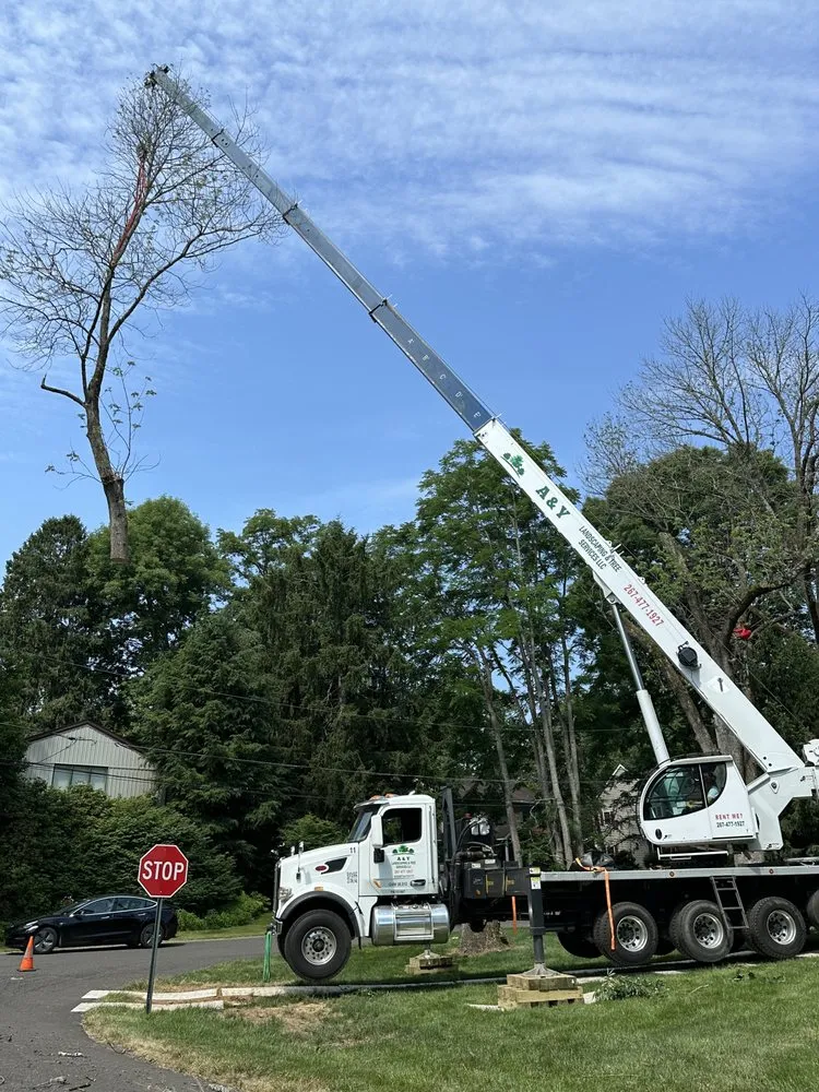 Local yard cleanup service in Chalfont, PA - A & Y Landscaping & Tree Services