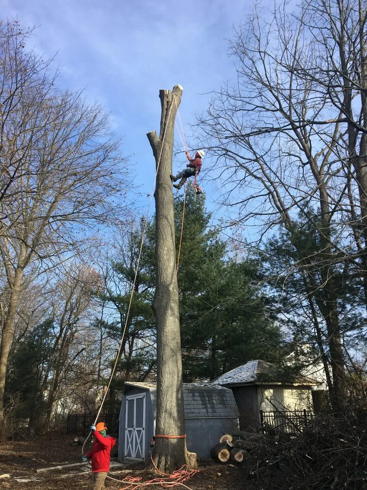 Trusted residential landscaping experts serving Chalfont, PA - A & Y Landscaping & Tree Services