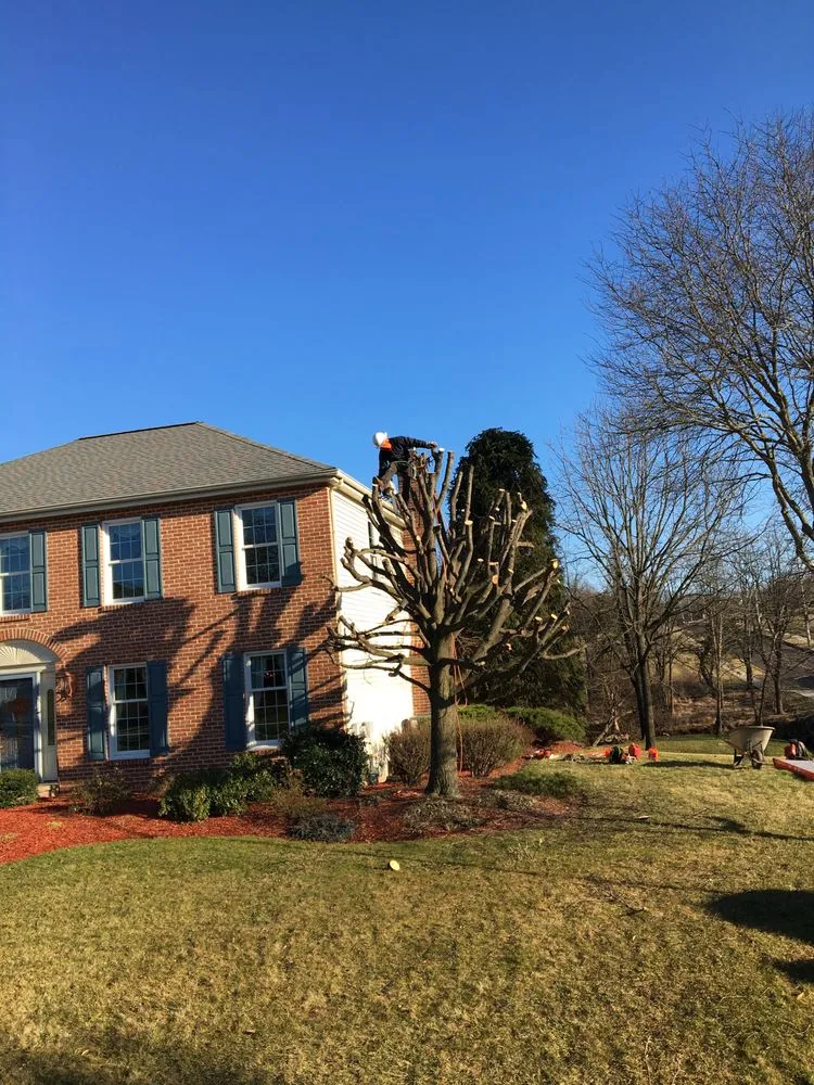 Top-rated lawn mowing service with custom design in Chalfont, PA by A & Y Landscaping & Tree Services