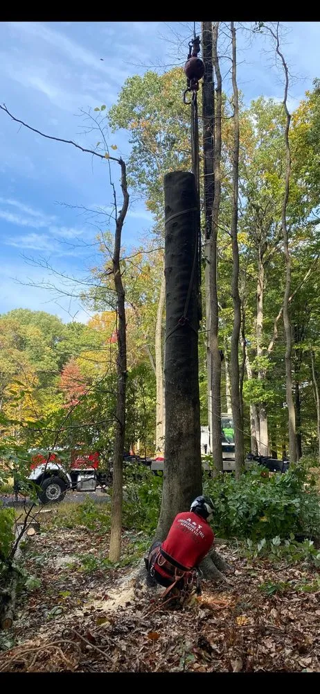 Local landscape installation with custom design across Chalfont, PA - A & Y Landscaping & Tree Services