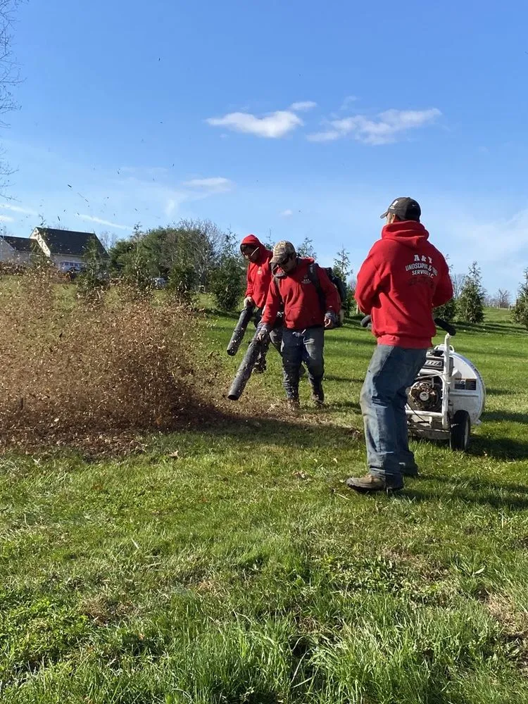 Custom lawn mowing service experts serving Chalfont, PA - A & Y Landscaping & Tree Services
