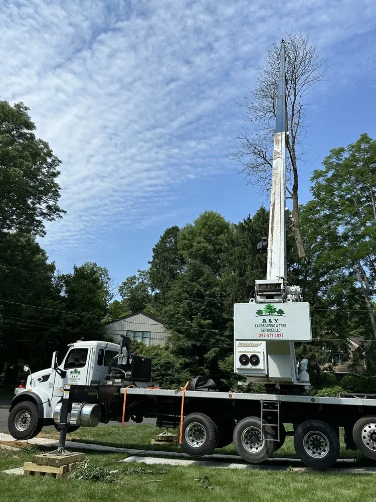 Affordable landscape installation for outdoor upgrades in Chalfont, PA by A & Y Landscaping & Tree Services