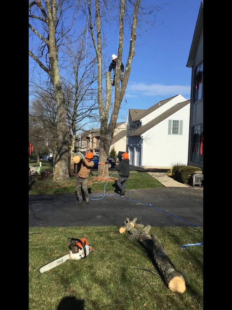 Local lawn care service in Chalfont, PA by A & Y Landscaping & Tree Services