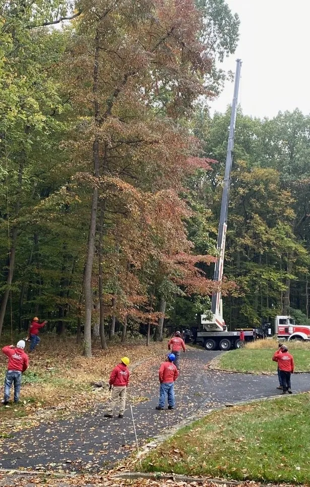 Custom lawn care service experts serving Chalfont, PA - A & Y Landscaping & Tree Services