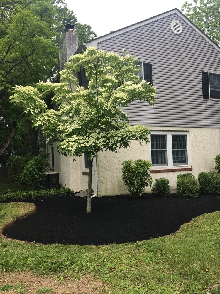 Local residential landscaping in Chalfont, PA by A & Y Landscaping & Tree Services