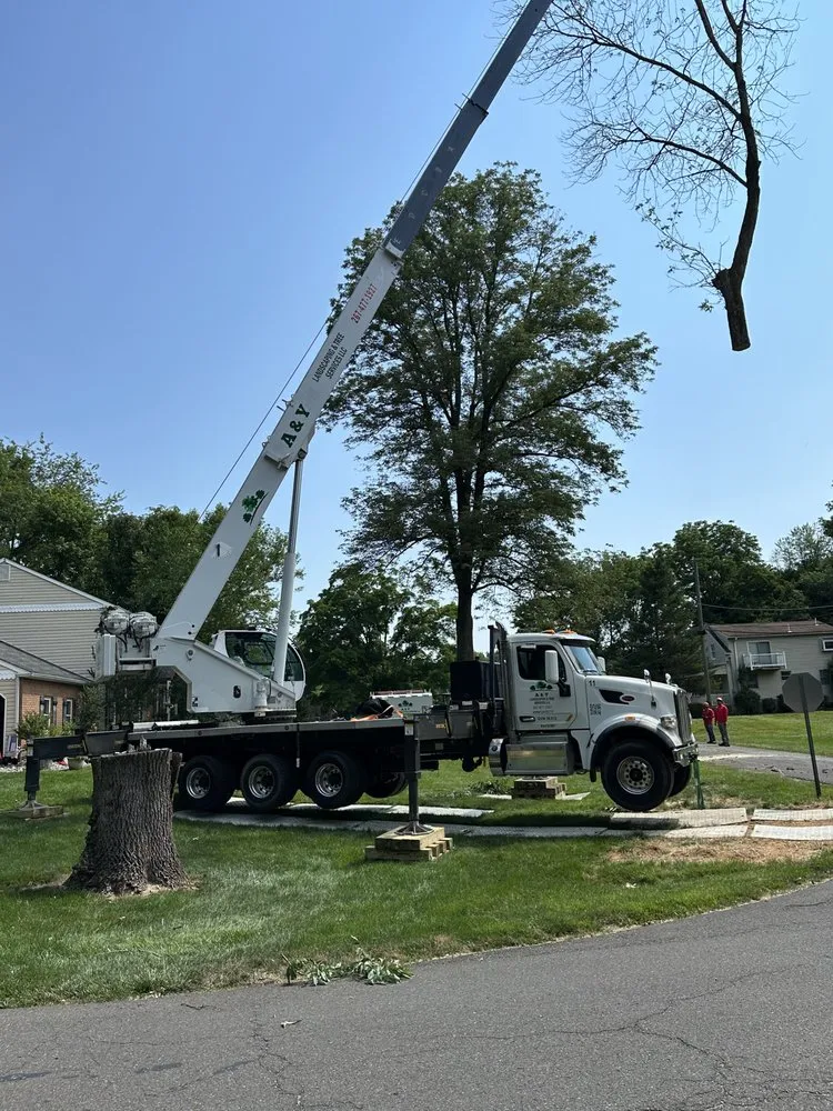 Affordable yard maintenance in Chalfont, PA - A & Y Landscaping & Tree Services