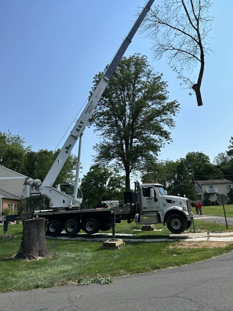 Top-rated residential landscaping for beautiful yards in Chalfont, PA by A & Y Landscaping & Tree Services