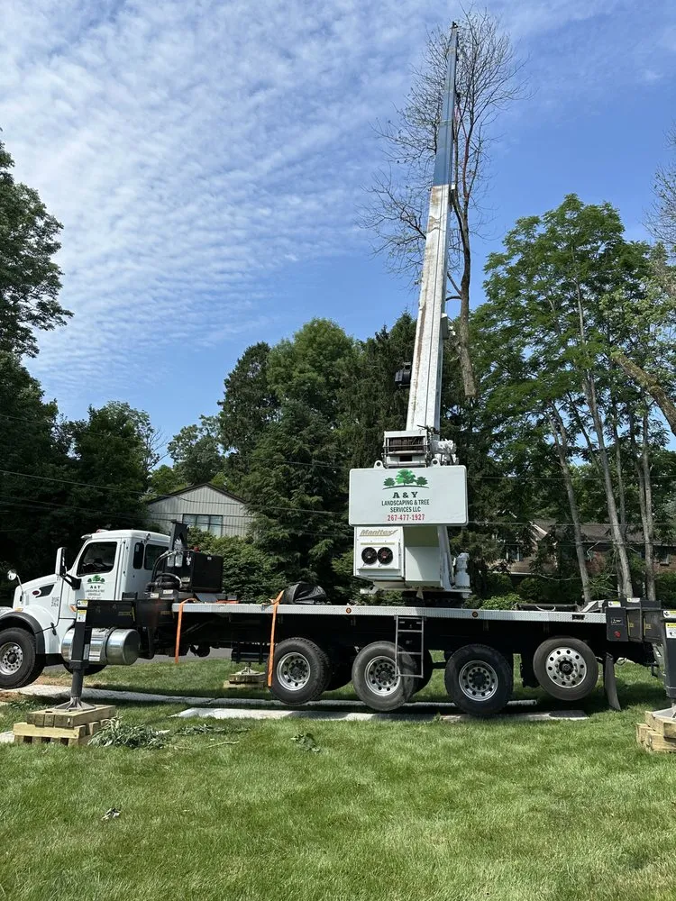 Local lawn care service in Chalfont, PA by A & Y Landscaping & Tree Services