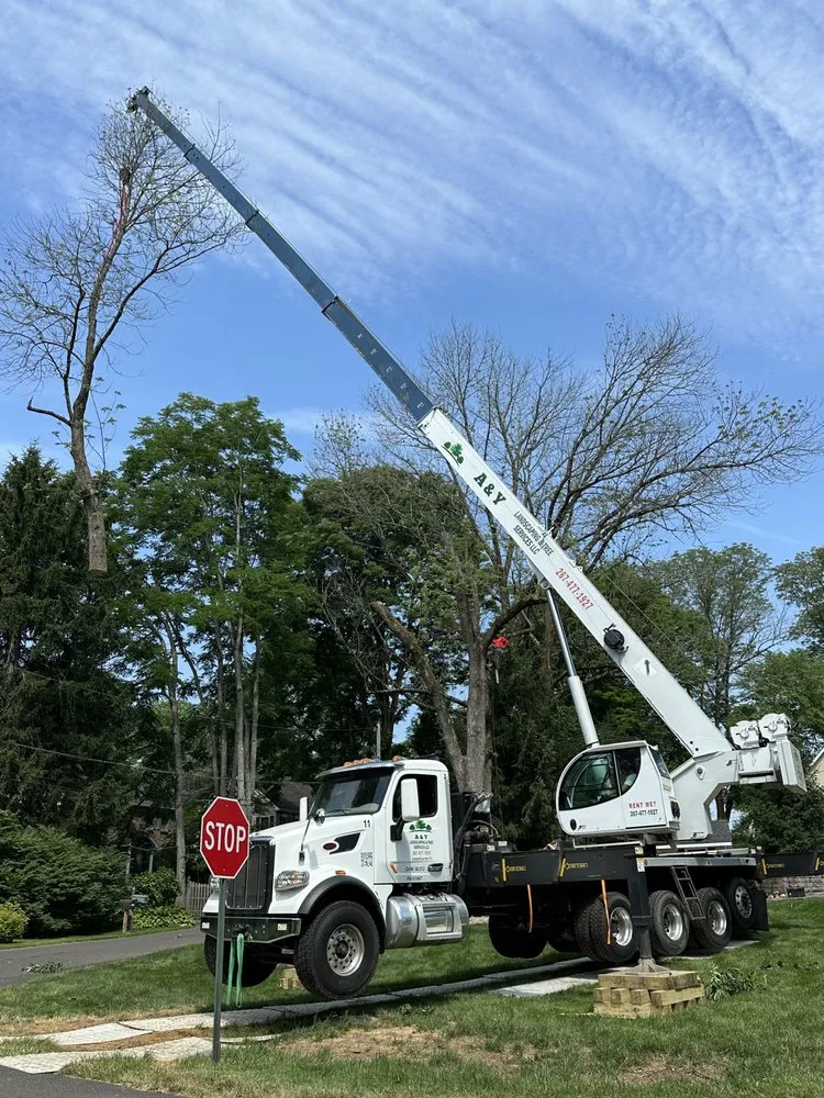 Reliable yard maintenance in Chalfont, PA - A & Y Landscaping & Tree Services