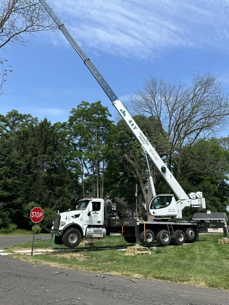 Top-rated yard maintenance for homes across Chalfont, PA - A & Y Landscaping & Tree Services