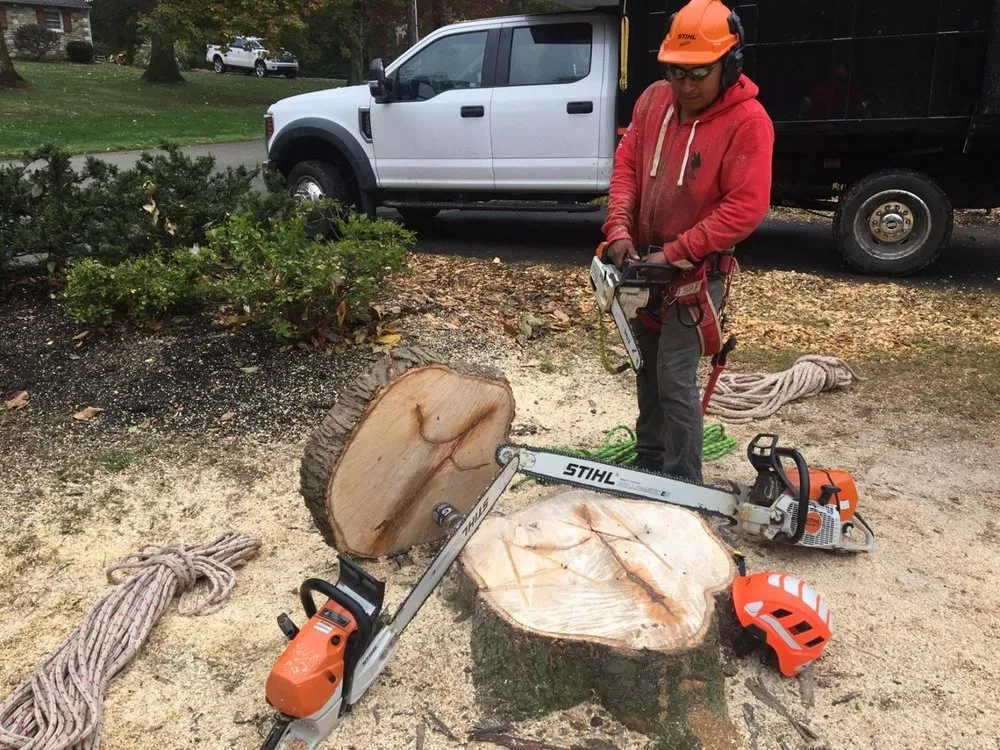 Affordable landscaping services in Warrington, PA - A & Y Tree Services