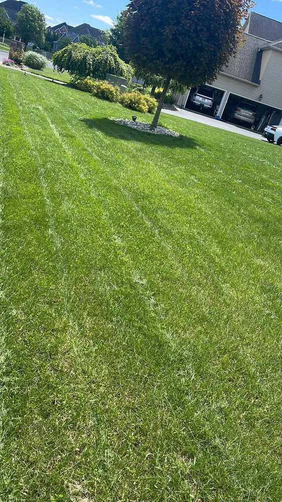 Trusted outdoor landscaping experts serving Penbrook, PA - A & Z Landscaping