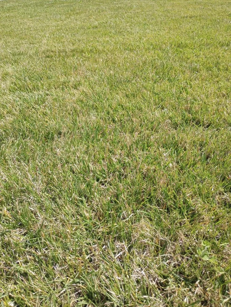 Reliable residential landscaping in Paola, KS by A & Z Lawn Care