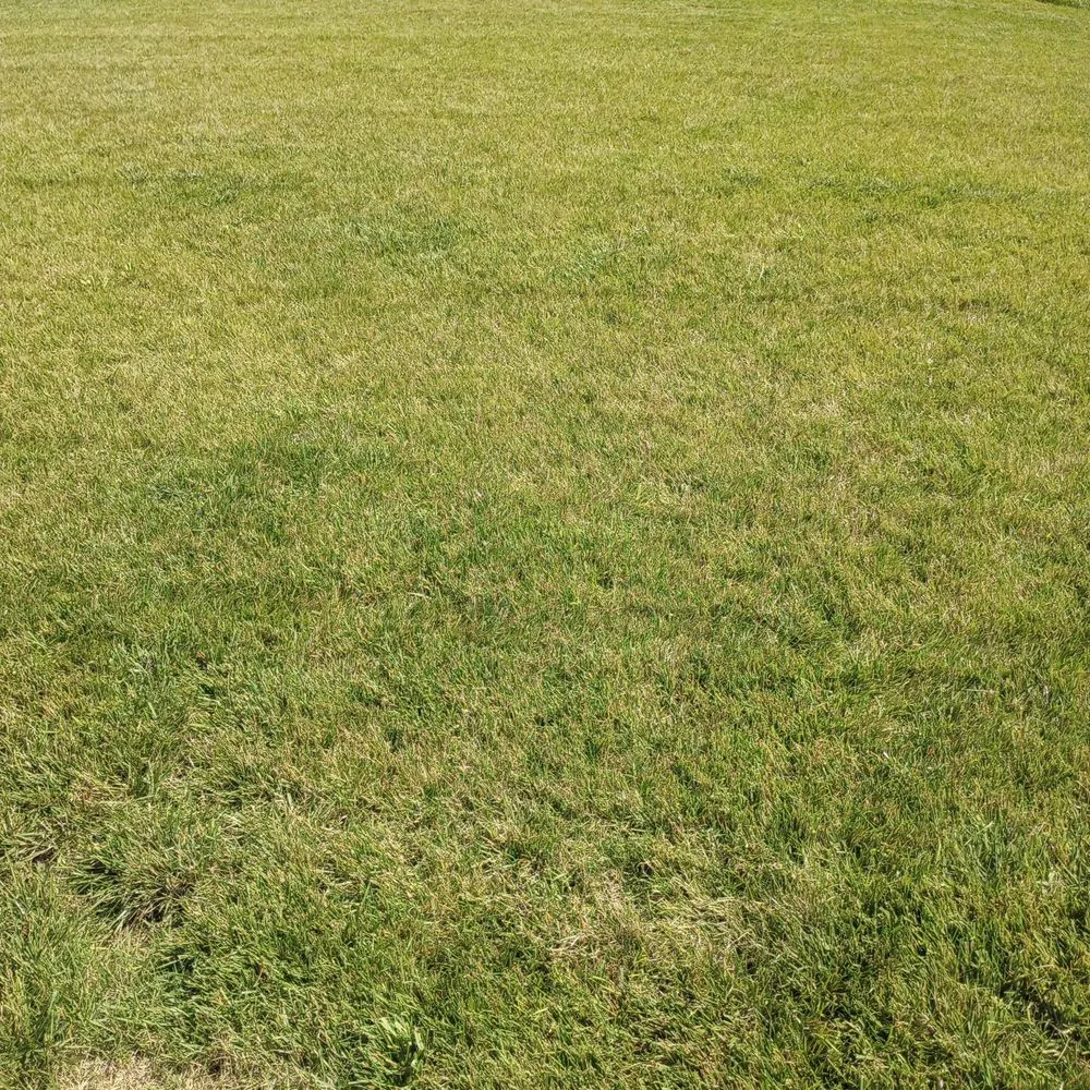 Expert garden landscaping experts serving Paola, KS - A & Z Lawn Care