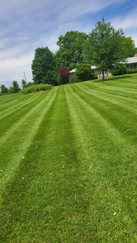 Professional lawn mowing service experts serving Fort Wayne, IN - A & Z Lawn Care Services