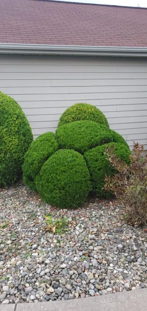 Affordable yard maintenance for residential properties across Fort Wayne, IN - A & Z Lawn Care Services