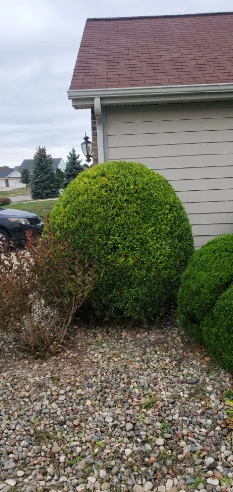 Trusted yard maintenance for beautiful yards in Fort Wayne, IN by A & Z Lawn Care Services