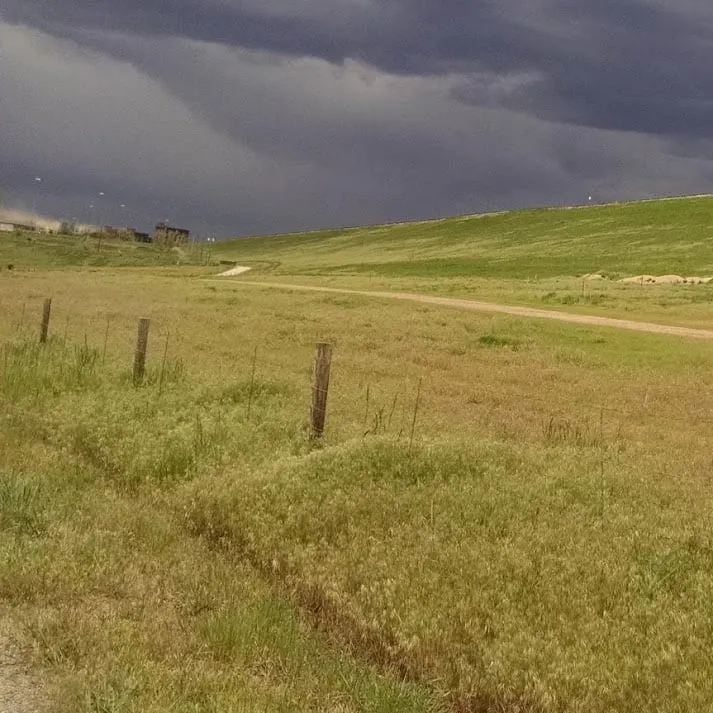 Local lawn care service in Westminster, CO by A-1 Affordable Hydroseed & Sod