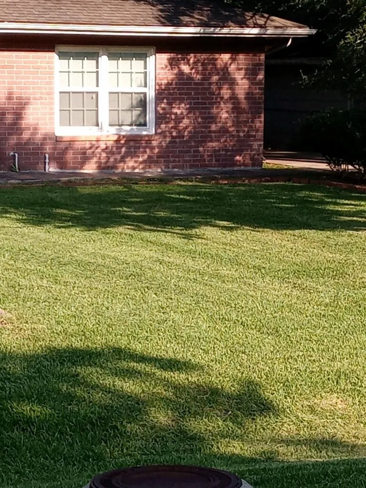 Expert residential landscaping in Dickinson, TX - A-1 Affordable Lawns