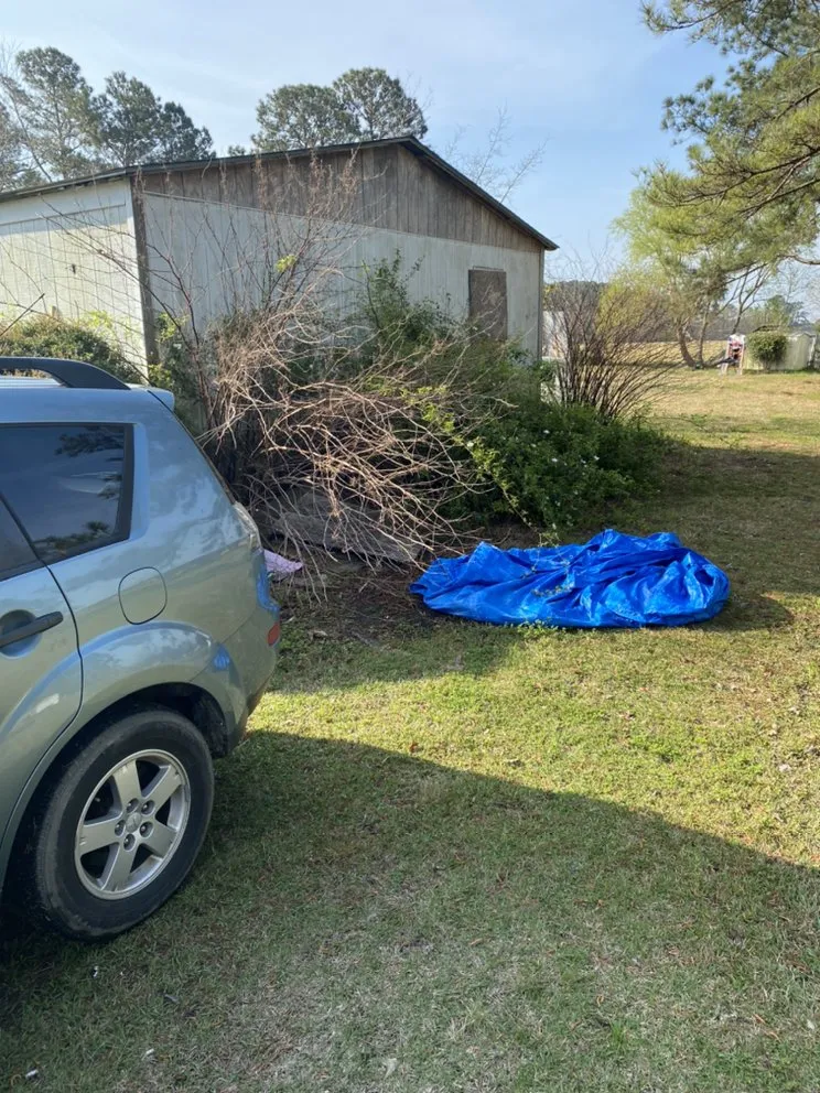 Local yard maintenance in Jacksonville, NC by A-1 All Properties Service Landscaping And Lawn Care