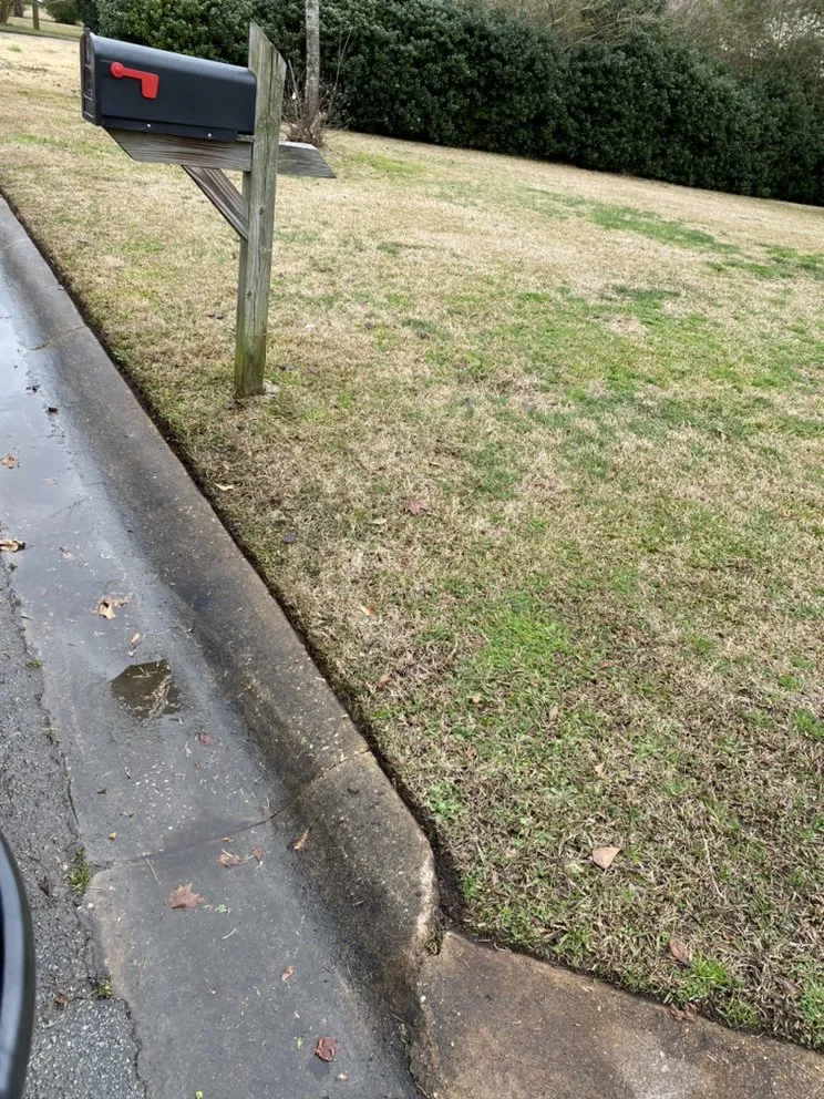 Reliable yard maintenance for beautiful yards in Jacksonville, NC by A-1 All Properties Service Landscaping And Lawn Care