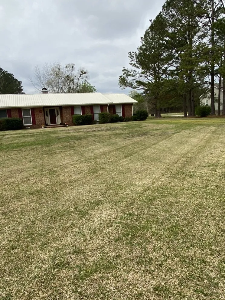 Professional yard cleanup service experts serving Jacksonville, NC - A-1 All Properties Service Landscaping And Lawn Care