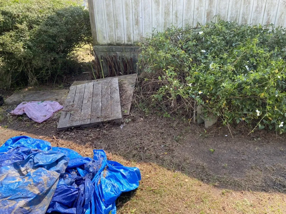 Local lawn care service experts serving Jacksonville, NC - A-1 All Properties Service Landscaping And Lawn Care