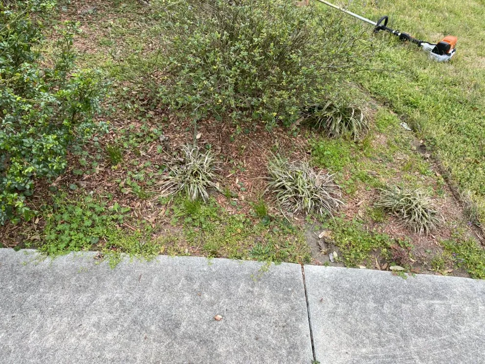 Trusted landscape design for beautiful yards across Jacksonville, NC - A-1 All Properties Service Landscaping And Lawn Care