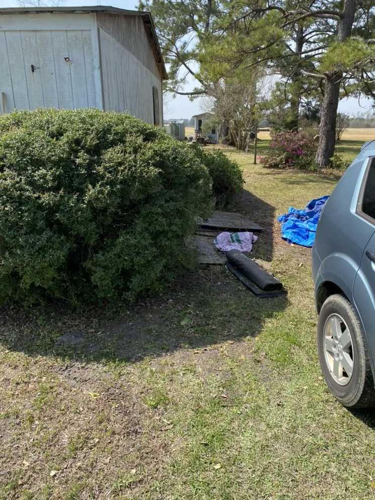 Affordable yard cleanup service in Jacksonville, NC - A-1 All Properties Service Landscaping And Lawn Care