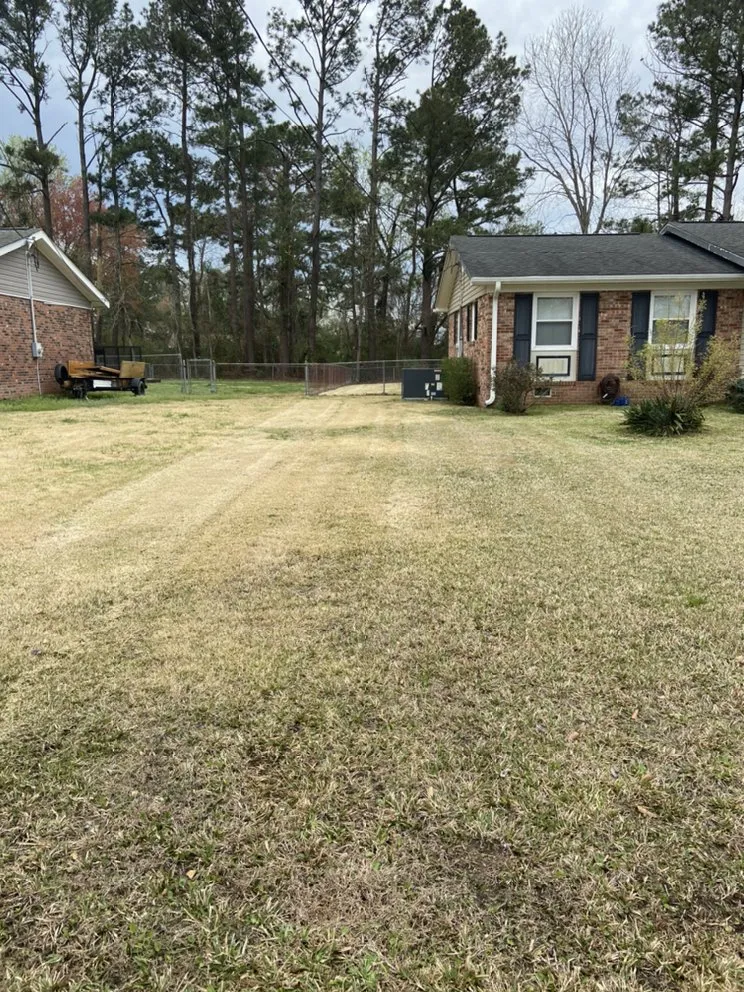 Top-rated landscape design for beautiful yards across Jacksonville, NC - A-1 All Properties Service Landscaping And Lawn Care