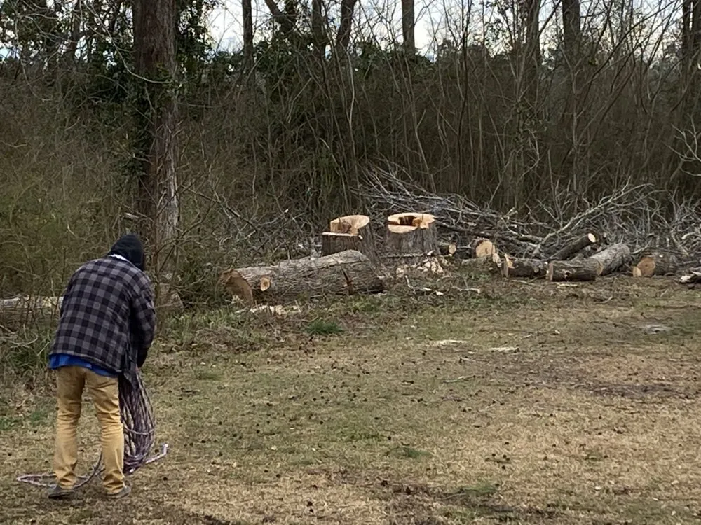 Reliable yard cleanup service in Jacksonville, NC - A-1 All Properties Service Landscaping And Lawn Care