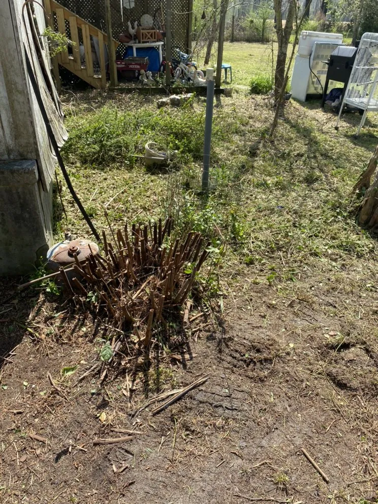 Expert landscape installation in Jacksonville, NC by A-1 All Properties Service Landscaping And Lawn Care