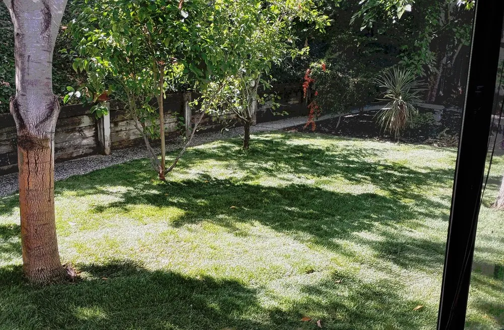 Custom yard cleanup service experts serving San Ramon, CA - A-1 Complete Landscape And Maintenance