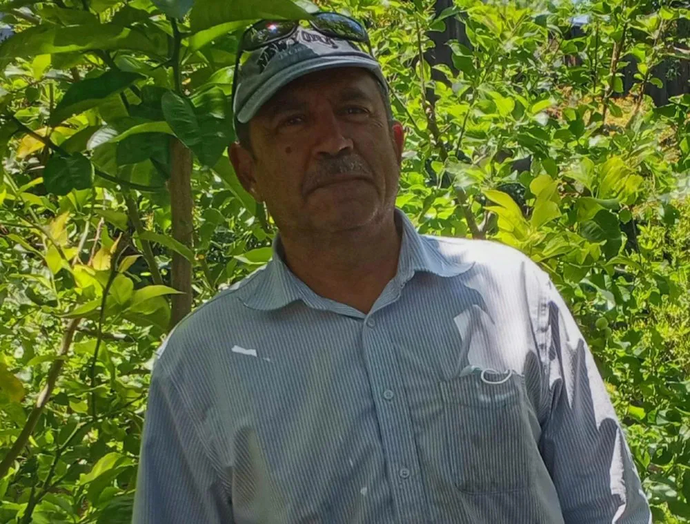 Trusted landscape design experts serving San Ramon, CA - A-1 Complete Landscape And Maintenance