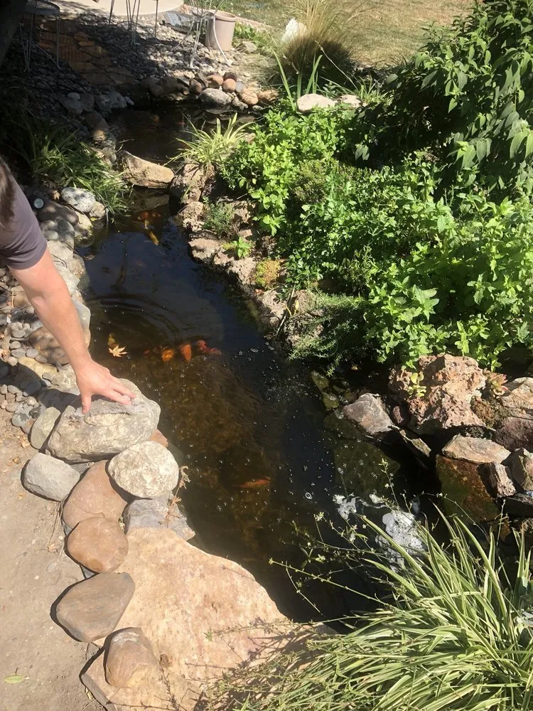 Custom landscape installation for year-round maintenance across San Ramon, CA - A-1 Complete Landscape And Maintenance