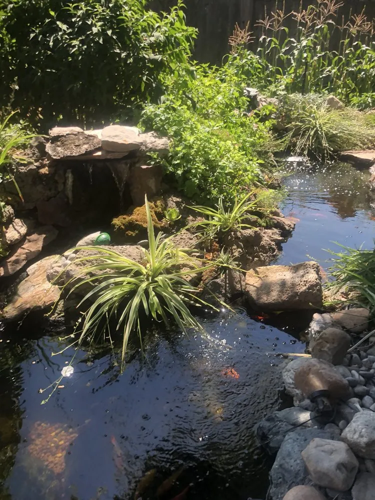 Local landscape design with custom design in San Ramon, CA by A-1 Complete Landscape And Maintenance