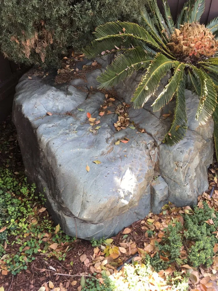 Custom landscape design for beautiful yards in San Ramon, CA by A-1 Complete Landscape And Maintenance