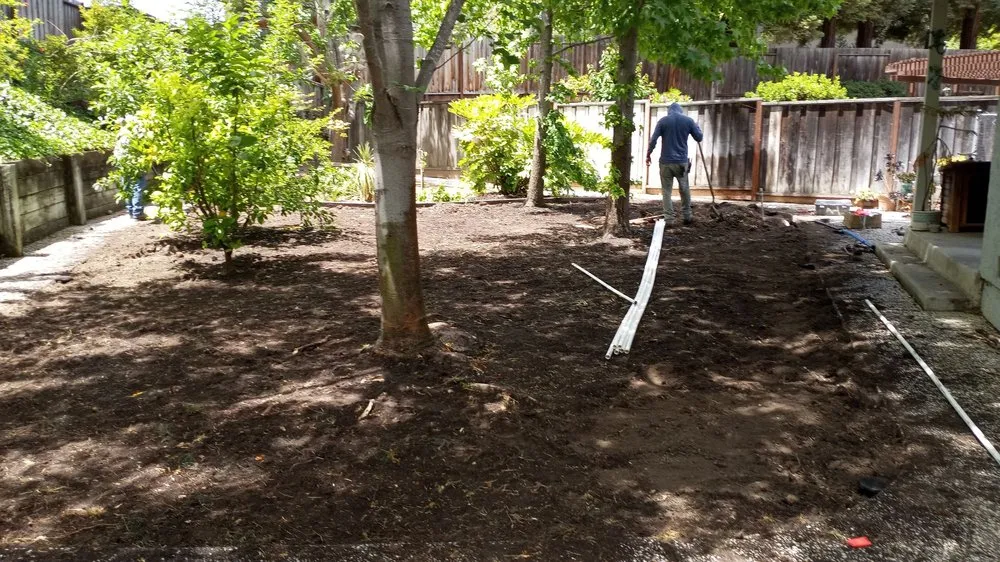 Reliable lawn care service in San Ramon, CA - A-1 Complete Landscape And Maintenance